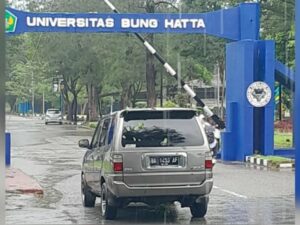 BPBD Padang memastikan situasi sudah kembali normal pasca pohon tumbang yang terjadi di Jalan Sumatra, Kelurahan Ulak Karang Utara,