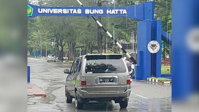 BPBD Padang memastikan situasi sudah kembali normal pasca pohon tumbang yang terjadi di Jalan Sumatra, Kelurahan Ulak Karang Utara,