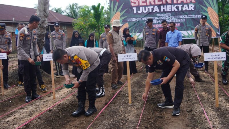 Bupati Dharmasraya, Sutan Riska Tuanku Kerajaan bersama jajaran Forkopimda ikut berpatisipasi dalam kegiatan penanaman jagung serentak 1