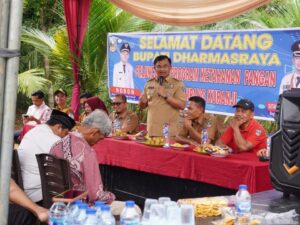 Bupati Sutan Riska Luncurkan Program Ketahanan Pangan Nagari Ampang Kuranji