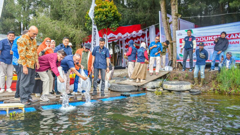 Semen Padang Lepaskan 1.500 Ekor Ikan Bilih ke Danau Diatas