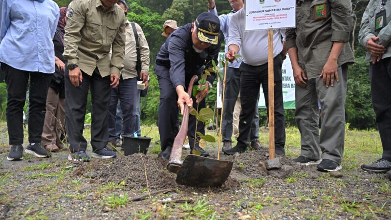 Pemprov Sumbar Lakukan Penanaman Pohon Serentak di Kawasan Lembah Anai