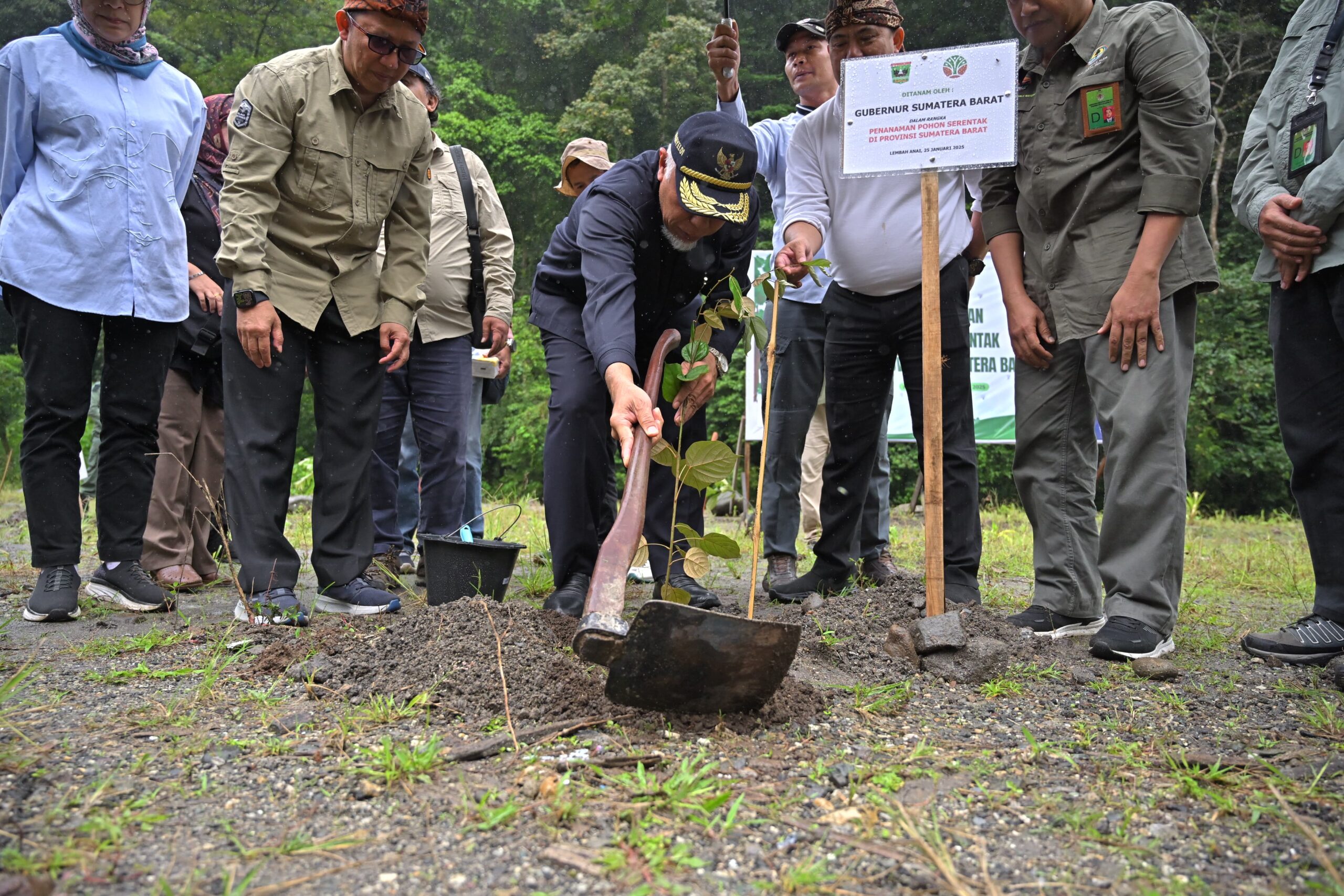 Pemprov Sumbar Lakukan Penanaman Pohon Serentak di Kawasan Lembah Anai