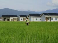 Luas lahan sawah di Kota Padang mengalami penurunan signifikan. Dari total 4.341 hektare lahan sawah yang tersedia, hingga tahun 2030 hanya