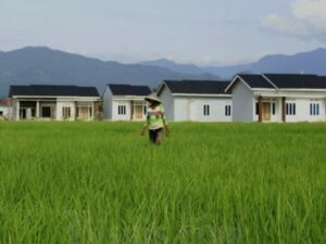 Luas lahan sawah di Kota Padang mengalami penurunan signifikan. Dari total 4.341 hektare lahan sawah yang tersedia, hingga tahun 2030 hanya