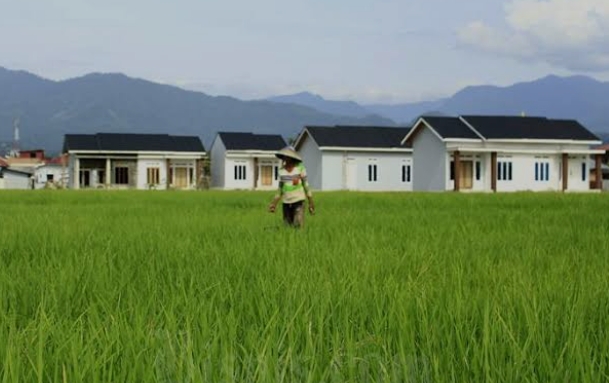 Alih Fungsi Jadi Perumahan, Luas Lahan Sawah di Padang Kian Menyusut