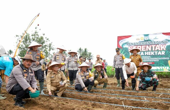 Pj Wali Kota Payakumbuh, Suprayitno bersama Kapolres Payakumbuh, AKBP Ricky Ricardo mendukung dan sukseskan swasembada pangan