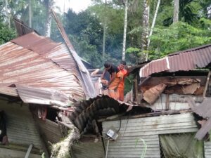 Hujan deras dan angin kencang melanda Kota Padang sejak Senin (6/1/2025) siang hingga malam hari, menyebabkan pohon tumbang dan