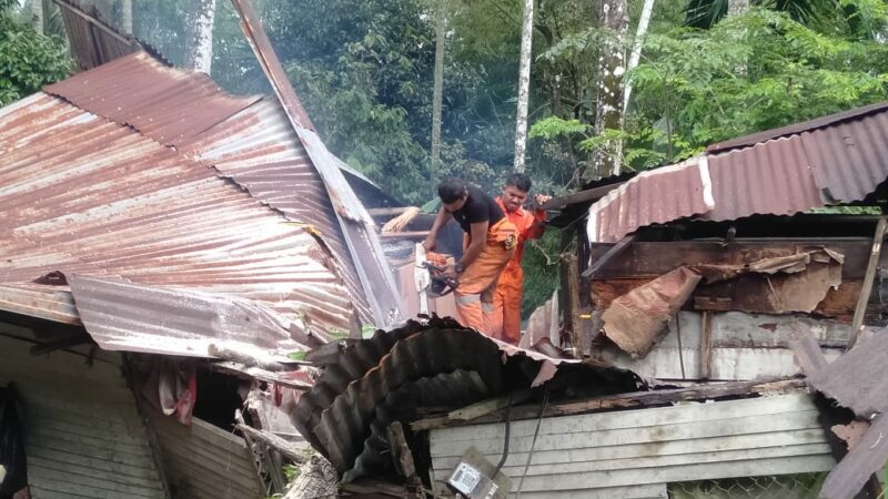 Hujan deras dan angin kencang melanda Kota Padang sejak Senin (6/1/2025) siang hingga malam hari, menyebabkan pohon tumbang dan