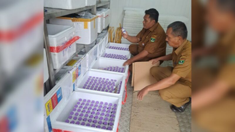 Dinas Peternakan dan Kesehatan Hewan (DPKH) Sumbar mencatat sebanyak 12 daerah di Sumatra Barat terpapar PMK