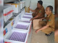 DPKH Sumbar bakal distribusikan 20 ribu dosis vaksin Penyakit Kuku dan Mulut (PMK) pada Januari hingga Februari 2025 di 12 daerah Sumbar.