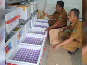 DPKH Sumbar bakal distribusikan 20 ribu dosis vaksin Penyakit Kuku dan Mulut (PMK) pada Januari hingga Februari 2025 di 12 daerah Sumbar.