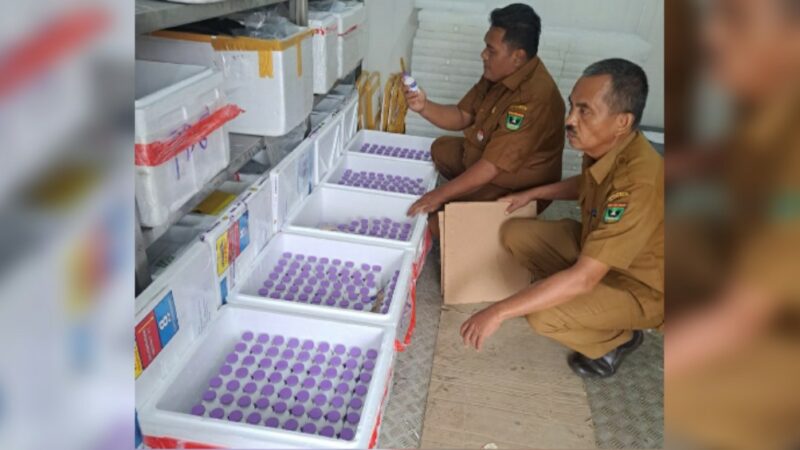 DPKH Sumbar bakal distribusikan 20 ribu dosis vaksin Penyakit Kuku dan Mulut (PMK) pada Januari hingga Februari 2025 di 12 daerah Sumbar.