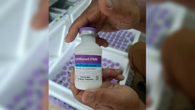 Dinas Peternakan dan Kesehatan Hewan (DLKH) Sumbar menargetkan vaksinasi untuk Penyakit Mulut dan Kuku (PMK) pada hewan sebesar 20 ribu dosis