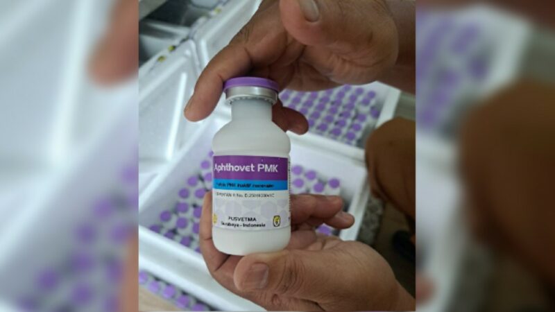 Dinas Peternakan dan Kesehatan Hewan (DLKH) Sumbar menargetkan vaksinasi untuk Penyakit Mulut dan Kuku (PMK) pada hewan sebesar 20 ribu dosis