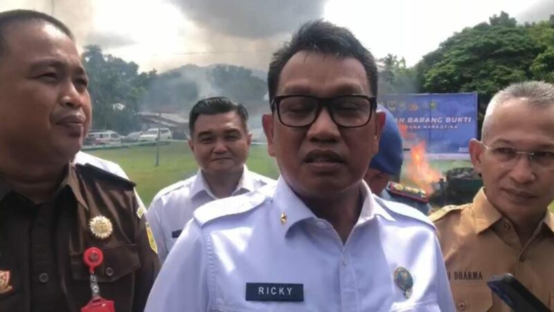 Badan Narkotika Nasional Provinsi (BNNP) Sumbar dalami modus baru peredaran ganja yaitu dalam bungkus bumbu khas Minangkabau.