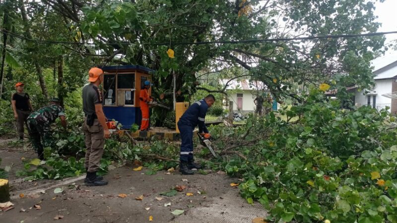 Pj Wali Kota Pariaman, Roberia melantik sebanyak 588 PPPK)pada Rabu (19/2/2025). Kegiatan ini dilaksanakan di Balai Kota Pariaman.