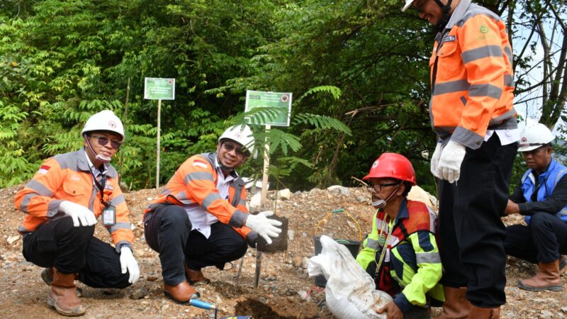 Implementasi Ekonomi Hijau, Semen Padang Tanam 205 Pohon Sengon di Bekas Tambang