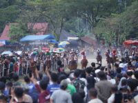 Pemko Sukses Gelar Pacu Kuda Piala Walikota Payakumbuh 2025