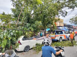 ohon tumbang menimpa satu mobil, kabel telepon dan menghambat akses jalan di Jalan Simpang 4 Malintang, Kelurahan Cupak Tangah, Kecamatan Pauh, Kota Padang, Senin (17/2/2025).