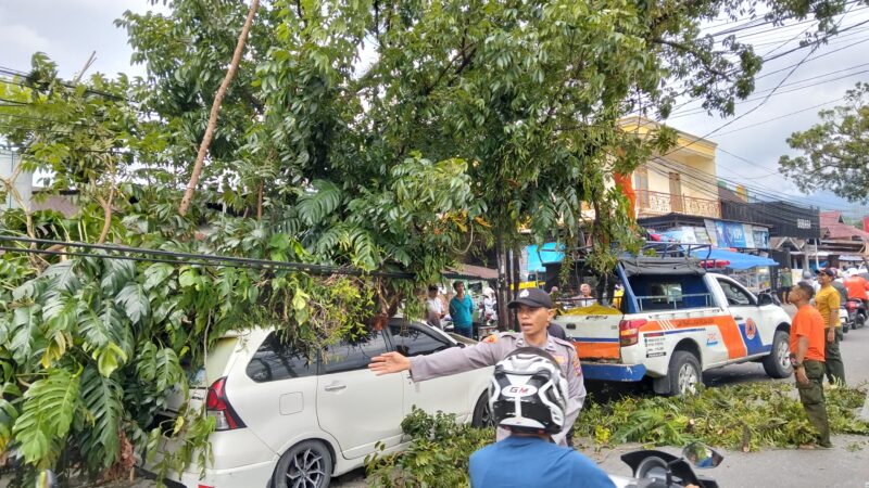 ohon tumbang menimpa satu mobil, kabel telepon dan menghambat akses jalan di Jalan Simpang 4 Malintang, Kelurahan Cupak Tangah, Kecamatan Pauh, Kota Padang, Senin (17/2/2025).