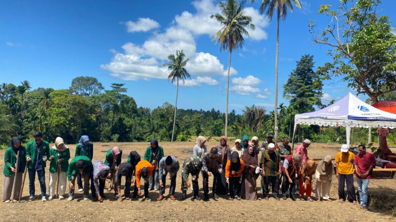 Mahasiswa KKN UNAND Tanam Jagung Bersama Kelompok Tani Nagari III Koto Aur Malintang Timur