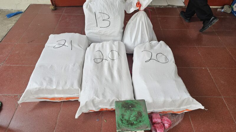 Polisi Gagalkan Penyelundupan Ganja dari Mandailing Natal ke Jakarta di Sumbar