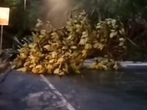 Sitinjau Lauik Longsor, Jalan Padang-Solok Tak Bisa Dilewati