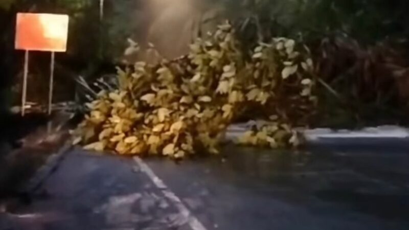 Sitinjau Lauik Longsor, Jalan Padang-Solok Tak Bisa Dilewati