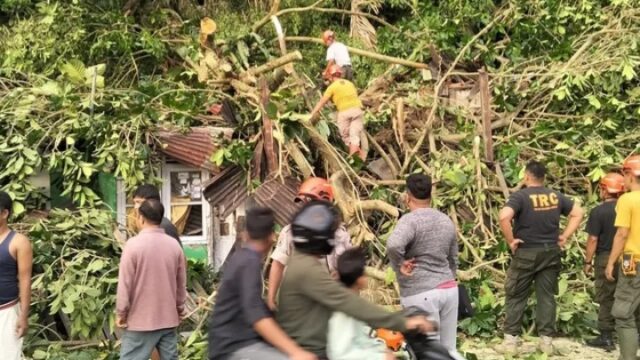 Sebuah pohon jenis jawi-jawi dengan panjang sekitar 30 meter dan diameter 30 cm tumbang menimpa rumah dan menghambat akses jalan di Gates