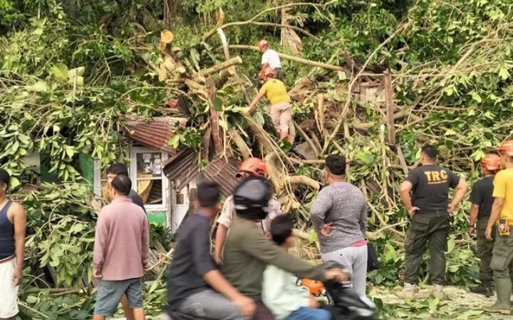 Sebuah pohon jenis jawi-jawi dengan panjang sekitar 30 meter dan diameter 30 cm tumbang menimpa rumah dan menghambat akses jalan di Gates