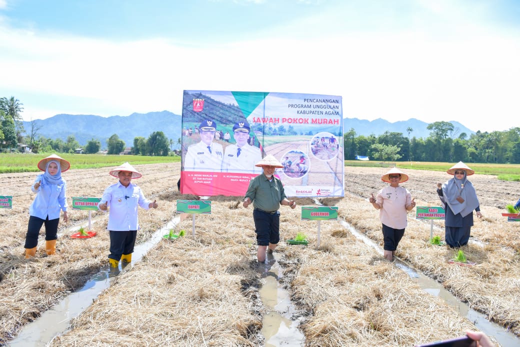 Gubernur Sumbar Klaim Rehabilitasi Lahan Pertanian Terdampak Bencana Tuntas 100 Persen