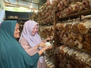 Semen Padang Dukung Sekolah Perempuan Baringin, Kembangkan Budidaya Jamur Tiram
