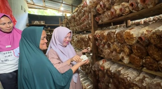 Semen Padang Dukung Sekolah Perempuan Baringin, Kembangkan Budidaya Jamur Tiram