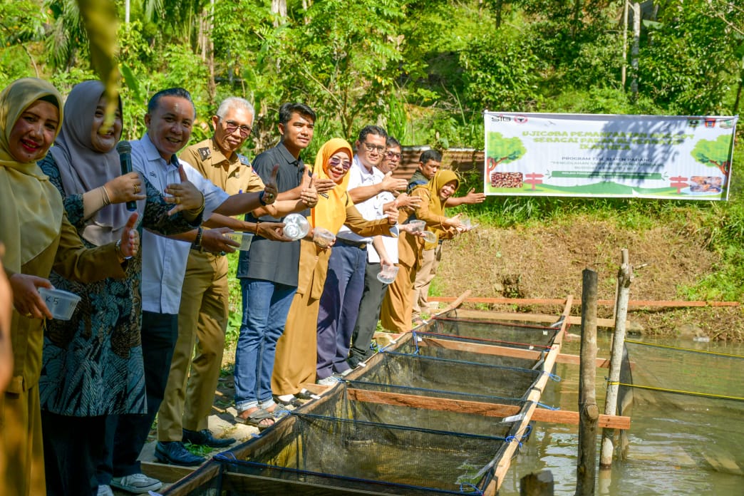 Solusi Mandiri Lingkungan, Semen Padang Ujicoba Maggot Sebagai Pakan Ikan