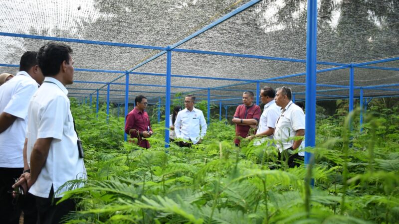 Semen Padang dan PPNP Tabur 2 Juta Bibit Kaliandra ke Kelompok Tani