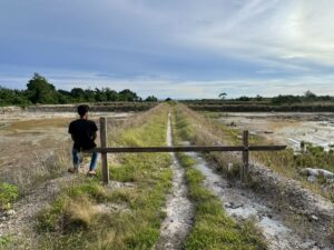Menyoal Dampak Ekologis Tambak Udang di Padang Pariaman