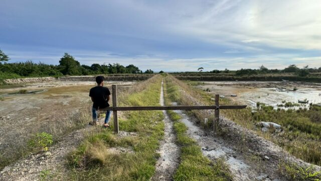 Menyoal Dampak Ekologis Tambak Udang di Padang Pariaman