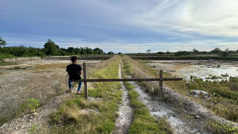 Menyoal Dampak Ekologis Tambak Udang di Padang Pariaman