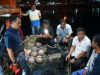 Tindak Pelaku Pukat Harimau, Nelayan Pasbar Dukung Wagub Sumbar