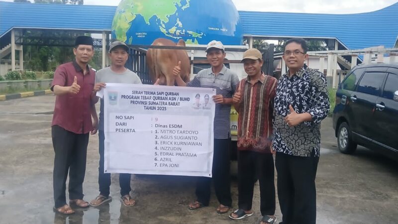 Idul Adha, Pemprov Distribusikan 61 Ekor Sapi di Seluruh Sumbar dan 7 untuk Palestina