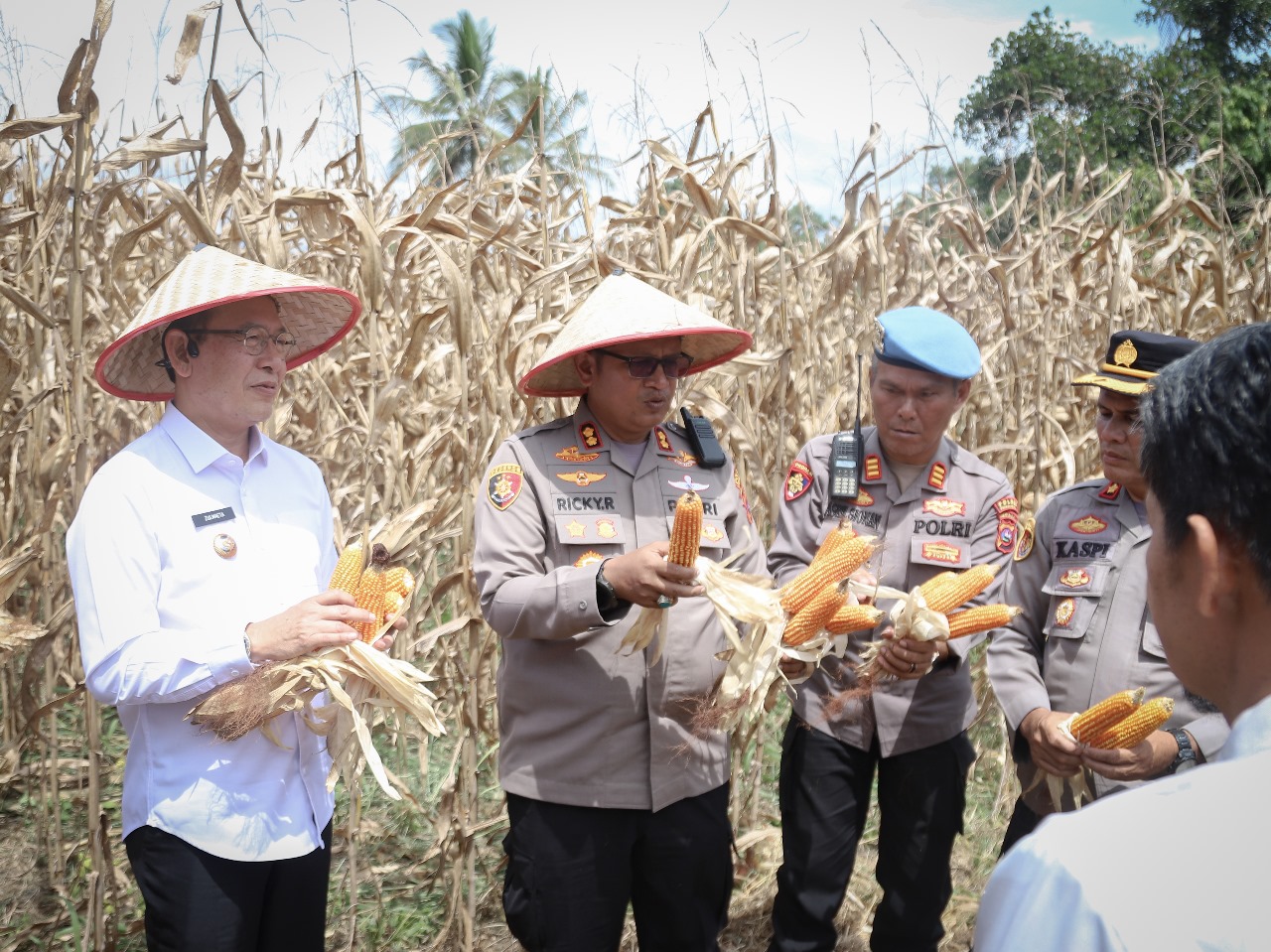 Wako Payakumbuh Panen Raya Jagung Bersama Forkopimda