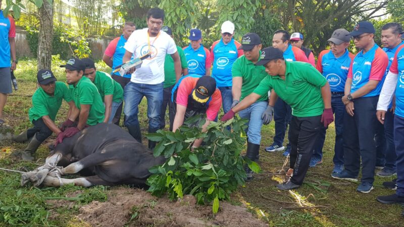 Disalurkan ke Daerah Kekurangan, Gubernur Apresiasi Program Bank Nagari Berkurban