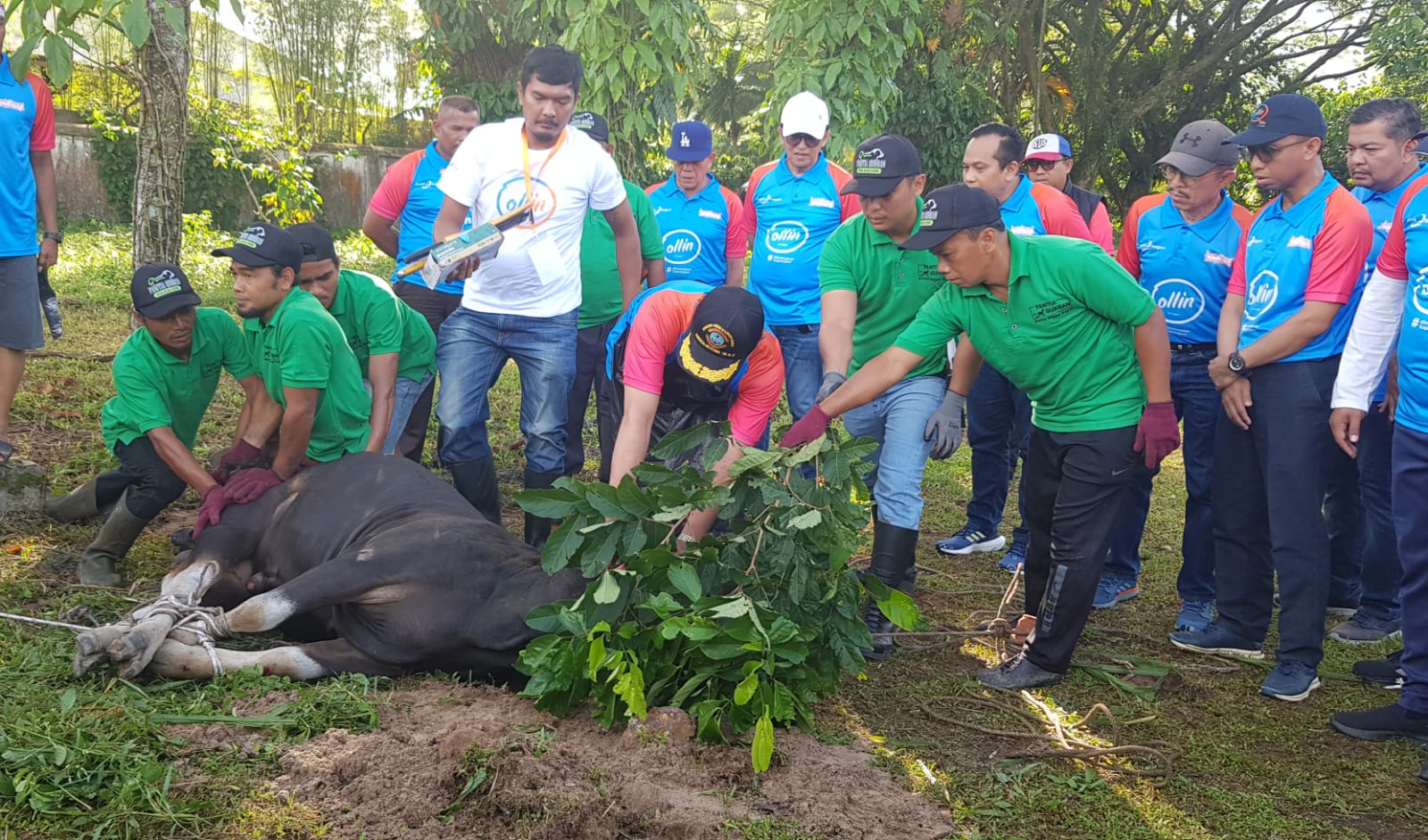 Disalurkan ke Daerah Kekurangan, Gubernur Apresiasi Program Bank Nagari Berkurban