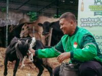 Semarak Iduladha, Grab Bagikan Ratusan Kambing Kurban kepada Mitra Pengemudi