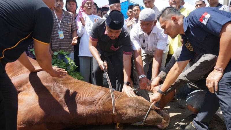 Dihadiri Wagub, Sapi Kurban Presiden Diserahkan ke Ponpes Perkampungan Minangkabau