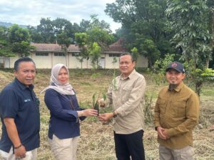 Semen Padang dan Kwarda Sumbar Kolaborasi Tanam 50 Ribu Bibit Kaliandra