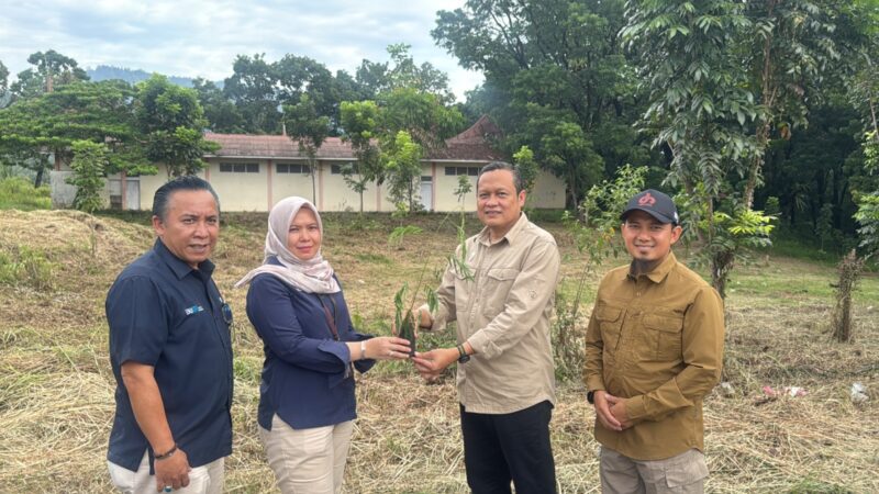 Semen Padang dan Kwarda Sumbar Kolaborasi Tanam 50 Ribu Bibit Kaliandra