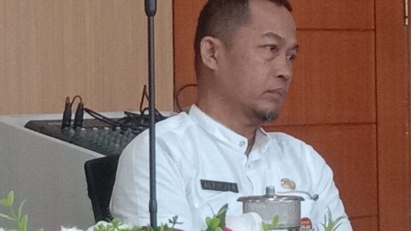 Program Galeh Babelok, Pemprov Klaim Sejumlah Investor Minati Berinvestasi di Sumbar