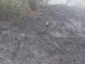 Modifikasi Cuaca Dinilai Efektif Tangani Karhutla di Sumbar